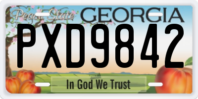 GA license plate PXD9842