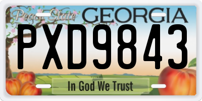 GA license plate PXD9843
