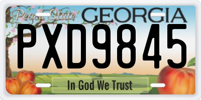 GA license plate PXD9845