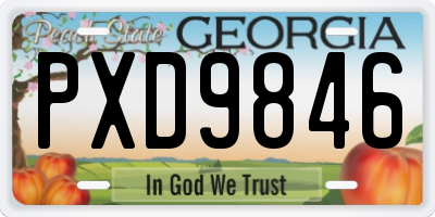 GA license plate PXD9846
