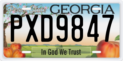 GA license plate PXD9847