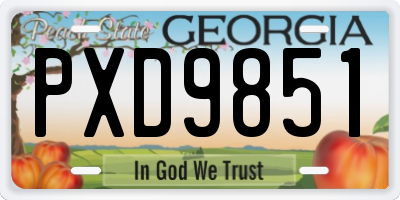 GA license plate PXD9851