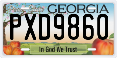 GA license plate PXD9860