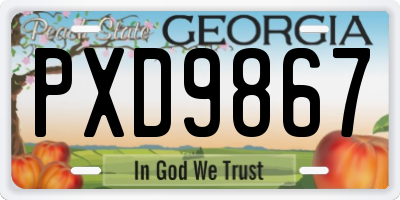 GA license plate PXD9867