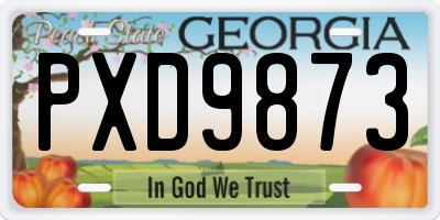 GA license plate PXD9873