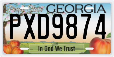 GA license plate PXD9874