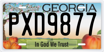 GA license plate PXD9877