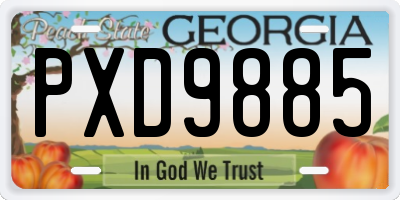 GA license plate PXD9885