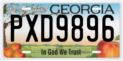 GA license plate PXD9896