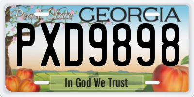 GA license plate PXD9898