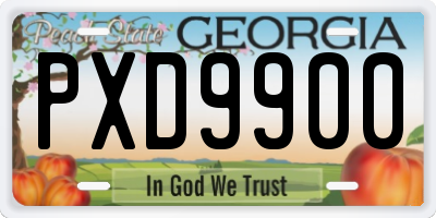 GA license plate PXD9900