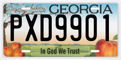 GA license plate PXD9901