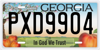 GA license plate PXD9904