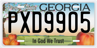 GA license plate PXD9905