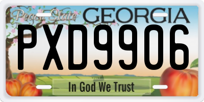 GA license plate PXD9906