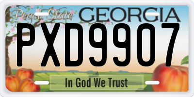 GA license plate PXD9907