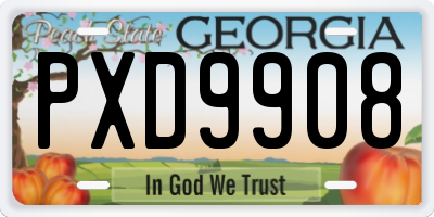 GA license plate PXD9908