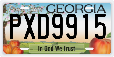 GA license plate PXD9915