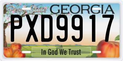 GA license plate PXD9917