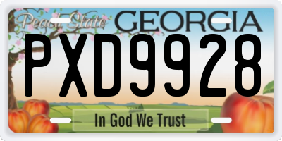 GA license plate PXD9928