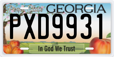 GA license plate PXD9931