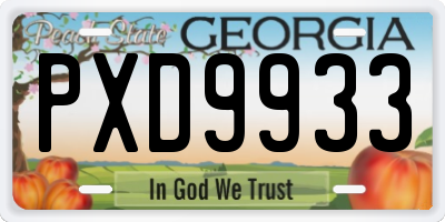 GA license plate PXD9933