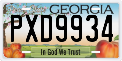 GA license plate PXD9934