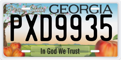 GA license plate PXD9935