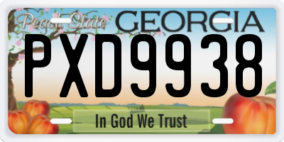 GA license plate PXD9938