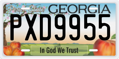 GA license plate PXD9955