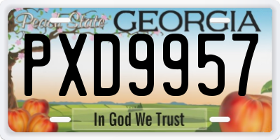 GA license plate PXD9957