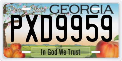 GA license plate PXD9959