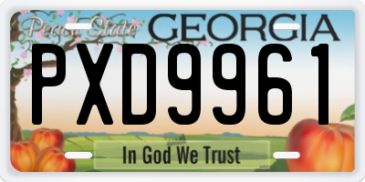 GA license plate PXD9961