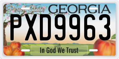 GA license plate PXD9963
