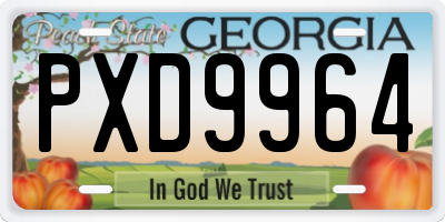 GA license plate PXD9964