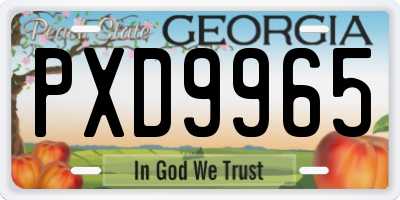 GA license plate PXD9965