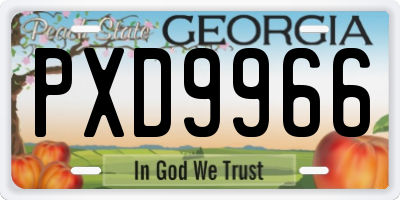 GA license plate PXD9966