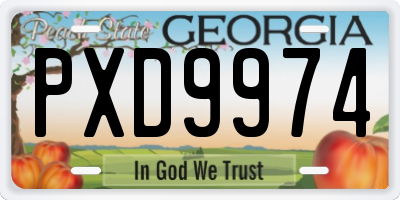 GA license plate PXD9974