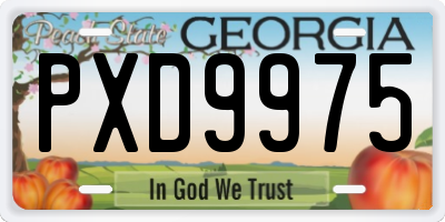 GA license plate PXD9975