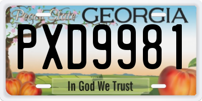 GA license plate PXD9981