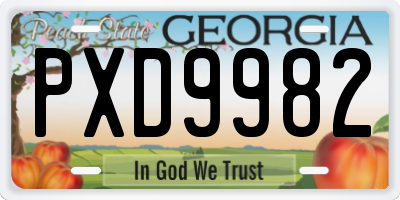 GA license plate PXD9982