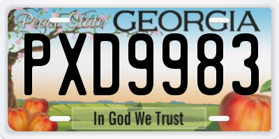 GA license plate PXD9983