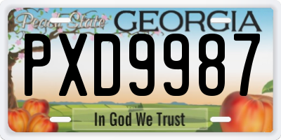 GA license plate PXD9987