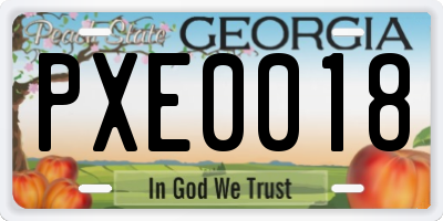 GA license plate PXE0018