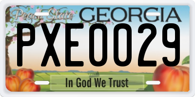 GA license plate PXE0029
