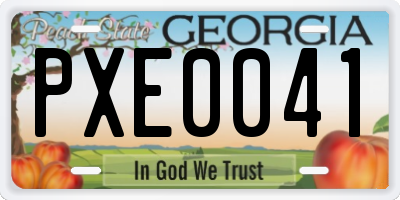 GA license plate PXE0041