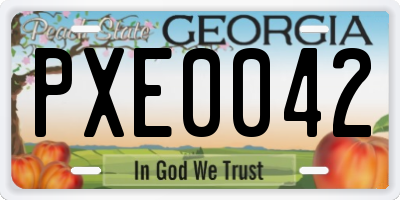 GA license plate PXE0042