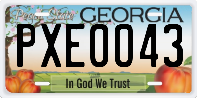 GA license plate PXE0043