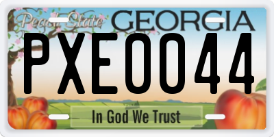 GA license plate PXE0044