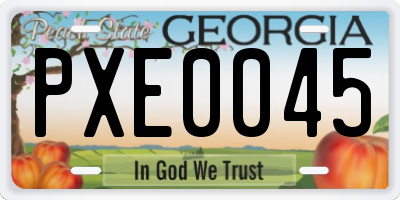 GA license plate PXE0045